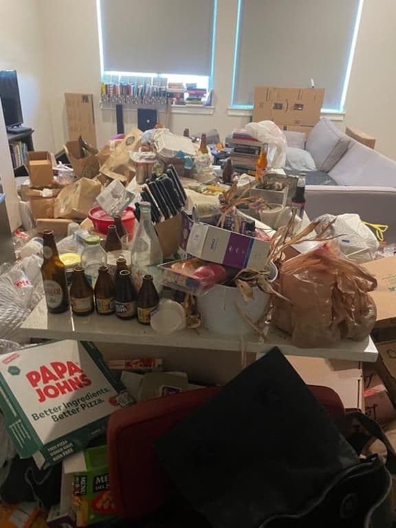 Kitchen hoarding cleanout — before