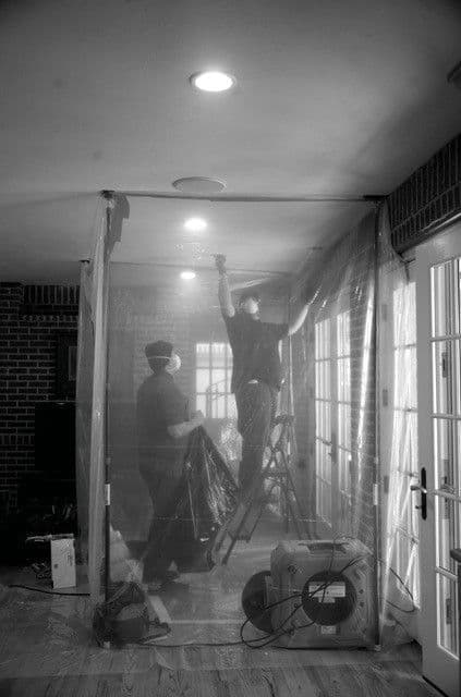 Mold removal
